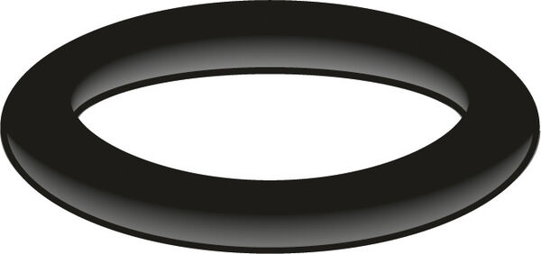 O-Ring AN Neoperl image number 0