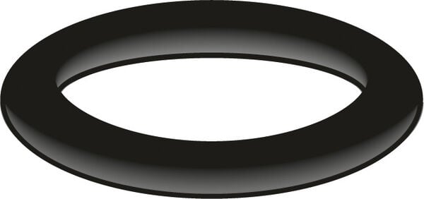 O-Ring R Neoperl image number 0