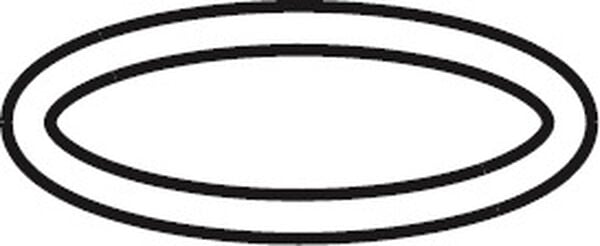O-Ring angulaire KWC image number 0