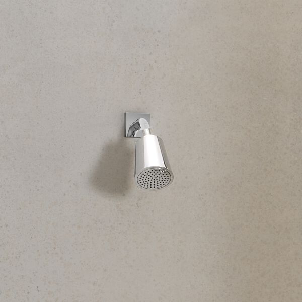 Gelenkbrause Dornbracht &frac12;" Dark chrome image number 1