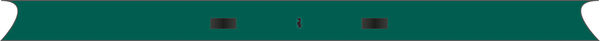Panel CWS Air Bar Forest green image number 0