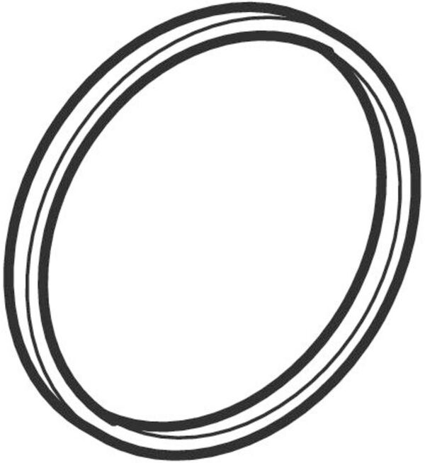 O-Ring Geberit Geberit image number 0