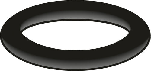 O-Ring AN Neoperl