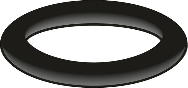 O-Ring AN Neoperl image number 0