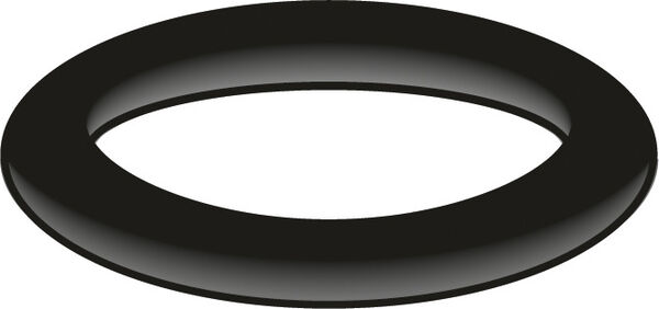 Joint O-Ring Neoperl image number 0