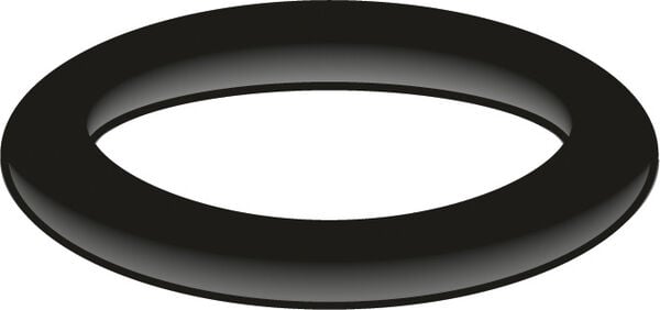 O-Ring R Neoperl image number 0