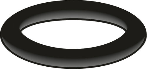 Guarnizione O-Ring Neoperl