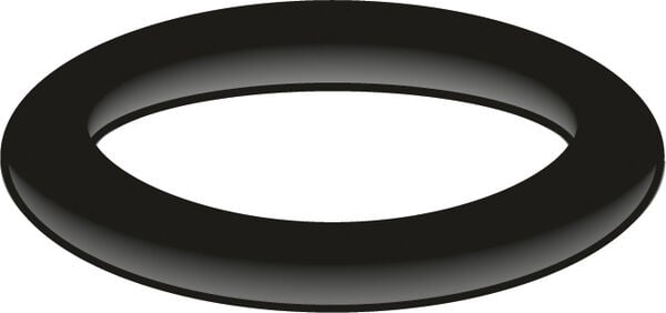 O-Ring R Neoperl image number 0